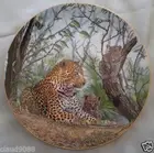 ROYAL DOULTON "BIG CATS AND YOUNG A SHADY SPOT" P458188 BOXED MINT IN BOX