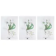 3x Maxwell & Williams Royal Botanic Gardens 70cm Tea Towel Aus Orchids White