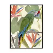 Artey | Tropical Parrot Composition I - Framed Canvas - Black Frame - 90 x 120cm