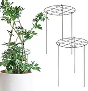Trellis for Potted Plants - Metal Garden Trellis,Cages & Supports for Tomato Grape Cucumber Rose Vegetable Farm Jasmine Outdoor Patio Yard Family