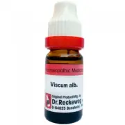 Dr. Reckeweg Viscum Alb Dilutions 6CH 30CH 200CH 1M 10M FREE SHIP