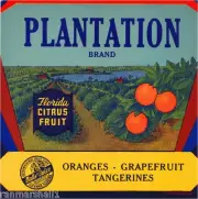 Lucerne Florida Plantation Orange Citrus Fruit Crate Label Art Print