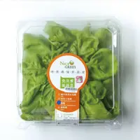 在飛比找蝦皮商城優惠-NICE GREEn 美蔬菜茼蒿盒1盒 ( 預購商品 每週一