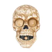 Door Bell Skull Light-Up - Morris Costumes