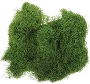 ifundom DIY Craft Artificial Moss Fake Plant Grass for Bonsai Simulated Moss for Decor Faux Fern for Home Artificial Plant Accessory