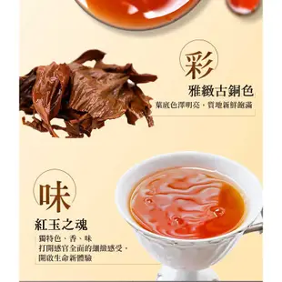 【台灣茶人】紅茶茶葉｜台茶18號紅玉紅茶（75g/包）