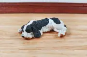 Dollhouse Dog English Springer Spaniel Sleeping 1:12 Scale Miniature Animal