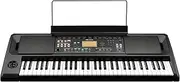KORG EK-50 61 Key Entertainer Keyboard with Built-In Speakers Black