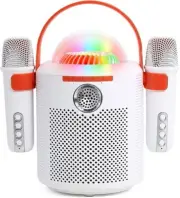 AURTEC Bluetooth Karaoke Machine with Two Wireless Microphones