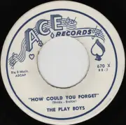 The Play Boys Ace Records 670 '62 M- How Could You Forget b/w Gotta Feelin RARE