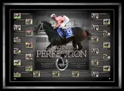 Black Caviar Signed Racing Perfection Retirement Print Framed - Peter Moody