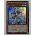 OCG 遊戲王 DBGC-JP026 亮面 聖殿的遣水使