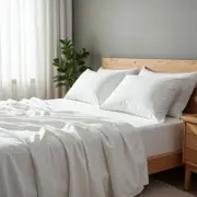 Royal Comfort 2000 Thread Count Bamboo Blend Sheet Set 10 Pack King White