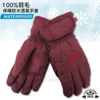 在飛比找PChome24h購物優惠-【SNOW TRAVEL】100%羽毛 超保暖防水透氣手套_