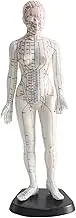 Human Acupuncture Point Model, Meridians Acupuncture Point Model, with English Acupuncture Point Marks for Acupuncture Acupuncture-Tool Point Model(Female)