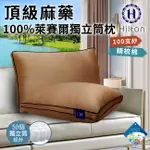 【HILTON 希爾頓】精選優質萊賽爾LYOCELL銀離子100支紗獨立筒枕/卡其色