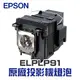 【EPSON】 ELPLP91 原廠投影機燈泡組 | EB-680/EB-685W/EB-685Wi/EB-695Wi【請來電詢價】