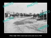 OLD LARGE HISTORIC PHOTO OF WHITE CLIFFS NSW CAMEL TRAIN IN THE MAIN STREET 1900