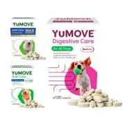 Hip and Joint Supplement For Dogs - Glucosamine Hip And Joint Chews