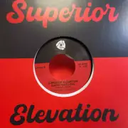 Superior Elevation - Giving You Love / Sassy Lady (7")