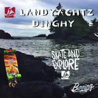 在飛比找ETMall東森購物網優惠-燃燒冰進口landyachtz dinghy小艇大魚板香蕉復