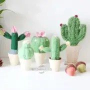 Handmade wool felt plant home decors cactus succulent table decors
