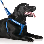SERVICE DOG - L/XL adjustable Strap Harness
