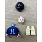 LEGO 樂高 人偶 哈利波特 哈利波特 75964