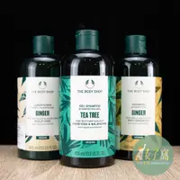 在飛比找蝦皮購物優惠-現貨 The body shop 新版 薑根鏗活調理洗髮精 