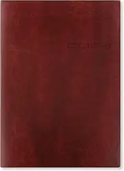Letts of London Lecassa A5 Day Per Page with Appointments Multilanguage 2024 Diary, Brown