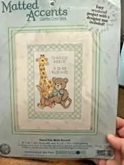 Dimensions Matted Accents Counted Cross Stitch Kit PASTEL PALS BIRTH RECORD