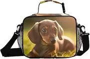 Grass Dachshund Sunlight Insulated Lunch Box for Women Men - Ideal for Work, Picnics - Includes Adjustable Shoulder Strap