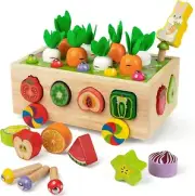 Montessori Fine Motor Toys for Baby Toddler, Wooden Shape Sorter Carrot Harvest