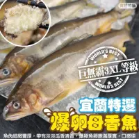 在飛比找momo購物網優惠-【三頓飯】宜蘭特選3XL爆卵母香魚(1盒_8尾/1kg/盒)