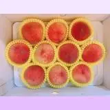 在飛比找遠傳friDay購物優惠-摩天嶺 熱帶水蜜桃禮盒10粒裝