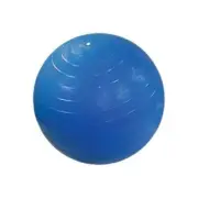 Fabrication Enterprises 30-1789 Cando Ball for Small Ball Chair - Blue