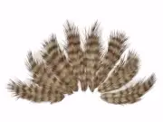 USA SELLER - 1 Dozen - Tan Grizzly Rooster Chickabou Fluff Feathers