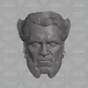 Henry Cavill Wolverine X-Men custom head for 1:6 1:10 1:12 1:18 action figures