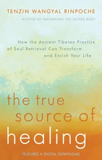 在飛比找誠品線上優惠-The True Source of Healing: Ho