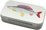 Oshhni Iron Fly Fishing Box Fly Fishing Lightweight Portable Fishing Lure Box Fly Sorted Tackle for Freshwater Fishing, Small