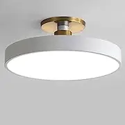 TONFON Dimmable Led Ceiling Lamp Flush Mount Ultra-Thin Acrylic Ceiling Light Modern Metal Ceiling Light Fixture for Living Room Bedroom Dining Room Kitchen Study Room Corridor Chandelier(White,40cm)