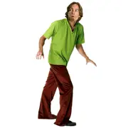 Shaggy Scooby-Doo Costume - Adult Size