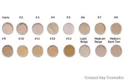 Large 10g Medium Beige MATTE MINERAL POWDER MAKEUP FOUNDATION
