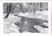 *Texas-"Record Snowfall, 1964" @ Trinity Park" @ Fort Worth (Postcard)- {C24}-