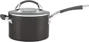 Anolon Endurance Plus Saucepan, 20 cm Size