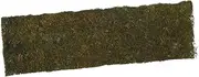 GANAZONO 1 Roll Artificial Moss Turf Decorative Faux Grass for Micro Landscape Home Decor Garden Use Durable and Weather Resistant Easy Installation Random Style