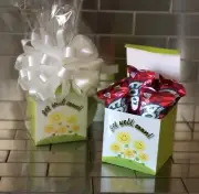 Get Well Soon Fruit By The Foot Gift Basket-Box With White Bow