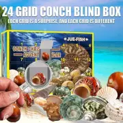 Christmas Shell Toys Funny Conch Toy Advent Calendar 24 Days Countdown Calendar