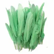 Tiny Goose Pointer Feathers 10 grams - Mint
