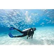 Save 5.00%! Advanced PADI Diving Course with Lunch & Transfer – Hurghada